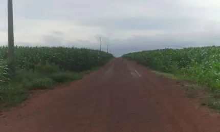 Fazenda à venda na 13 de maio, 1000, centro, gaúcha do norte, 820 m2 por r$ 109.500.000