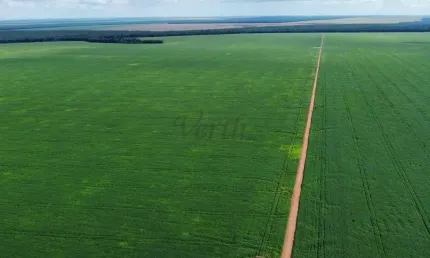 Fazenda à venda na rua dionizio cerqueira 259 lote n, 1000, centro, feliz natal, 1000 m2 por r$ 121.000.000
