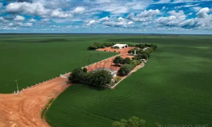 Fazenda à venda no Centro, Nova Mutum 