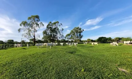 Fazenda à venda na Rua Floriano Lima 71, 1000, Centro, Arinos, 202 m2 por R$ 2.500.000