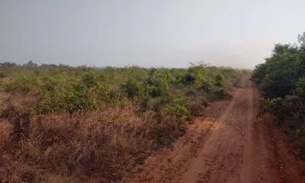 Fazenda à venda na Rua Dionizio Cerqueira 259 Lote N, 500, Centro, Feliz Natal, 1000 m2 por R$ 40.000.000