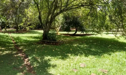 Chácara / sítio com 2 quartos à venda na Área Rural, 1000, Área Rural de Uberlândia, Uberlândia