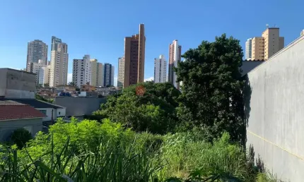 Terreno comercial à venda, jardim anália franco, são paulo - te0813.