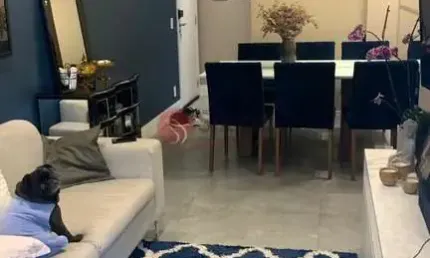 Apartamento com 2 quartos à venda na Rua José Tavares de Siqueira, 80, Parque São Jorge, São Paulo
