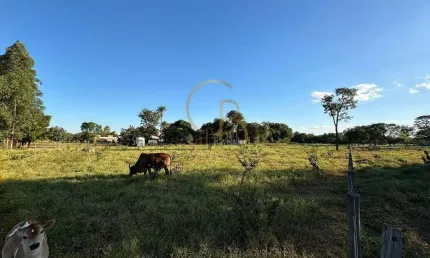 O CAMPO ESTÁ CHAMANDO: TERRENO DE 1 HECTARE PRONTO PARA SUA CHÁCARA!