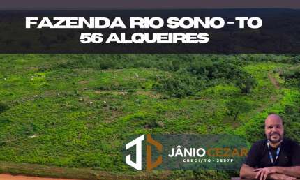 Fazenda à Venda 56 Alqueires | BR-010 Próximo a Palmas