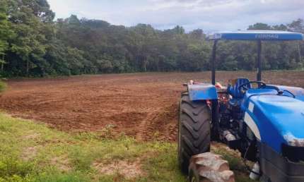 Sítio 12 Alqueires com Tanques e Casa em Novo Acordo-TO