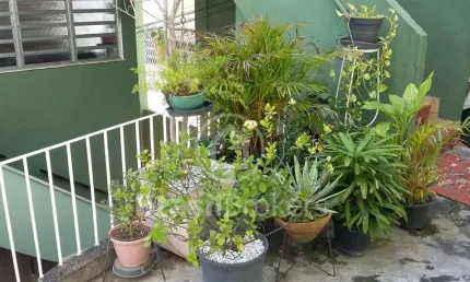 Apartamento à venda com 74,00m² e 2 quartos em Piedade, Rio de Janeiro - rj