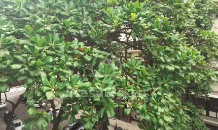 Apartamento à venda com 0m² e 3 quartos em copacabana, rio de janeiro - rj