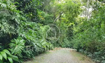 Terreno à venda na Rua Comendador Gervasio Seabra, Alto da Boa Vista, Rio de Janeiro