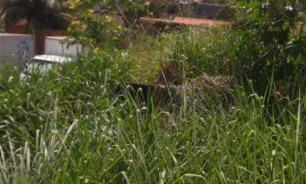 Terreno residencial à venda, Campo Grande, Rio de Janeiro.