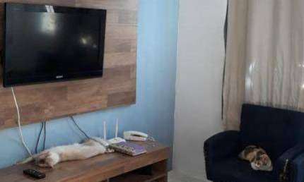 Apartamento com 2 dormitórios à venda, 64 m² por R$ 110.000,00 - Campo Grande - Rio de Janeiro/RJ