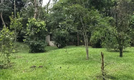 Sítio à venda, 10500 m² por r$ 600.000,00 - praia de mauá - magé/rj