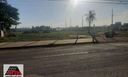 Terreno à venda na Vila Bertini, Americana 