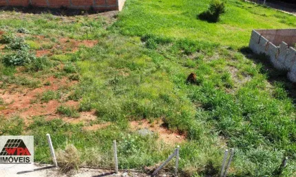 Terreno à venda, Loteamento Residencial Jardim dos Pinheiros - Americana/SP