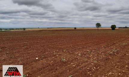 Terreno à venda, Área Rural de Nova Odessa - Nova Odessa/SP