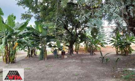 Terreno comercial para alugar no Centro, Americana 