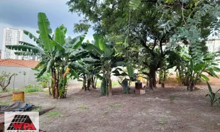 Terreno comercial para alugar no Centro, Americana 