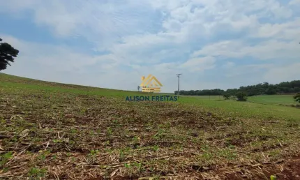 Fazenda à venda na Estrada áGua Do Sabão, Centro, Ibiporã