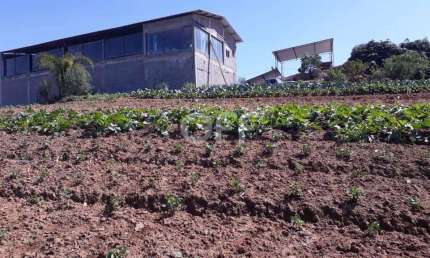 Chácara / sítio com 1 quarto à venda na Estr. Vicinal Ver. Ernesto Pires de Oliveira, KM 09, Ressaca, Ibiúna, 250 m2 por R$ 2.800.000