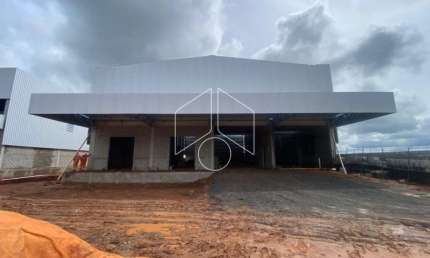 Barracão / Galpão / Depósito para alugar na Rua Armando Guelpa, 8073, Jardim Flamingo, Marília