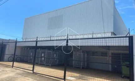 Barracão / Galpão / Depósito para alugar na Rua Carlos Tosin, 0, 6107, Distrito Industrial, Marília