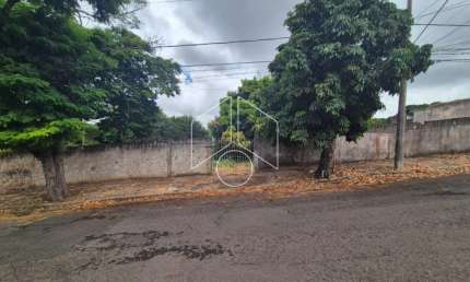 Terreno comercial para alugar na Rua Bernardino de Campos, 5095, Palmital, Marília