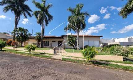 Casa com 4 quartos para alugar na Rua Dos Mandis, 0, 902, Jardim Aquárius, Marília