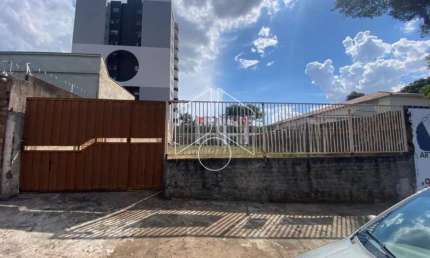 Terreno comercial para alugar na Avenida Santo Antônio, 66, Alto Cafezal, Marília