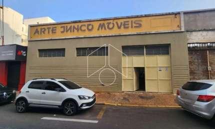 Barracão / Galpão / Depósito para alugar na Rua Doutor Joaquim de Abreu Sampaio Vidal, 453, Alto Cafezal, Marília