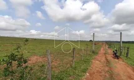 Terreno comercial para alugar na Rodovia Dona Leonor Mendes De Barros, 0, 72, Centro, Marília