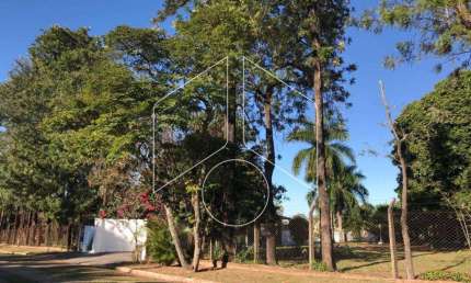 Chácara / sítio com 3 quartos para alugar na Alameda dos Jatobás, 559, Residencial Vale Verde, Marília