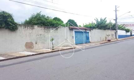 Chácara / sítio com 3 quartos para alugar na Rua do Algodão, 1097, Higienópolis, Marília