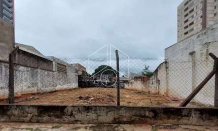 Terreno comercial para alugar na Rua Sete de Setembro, 2109, Alto Cafezal, Marília
