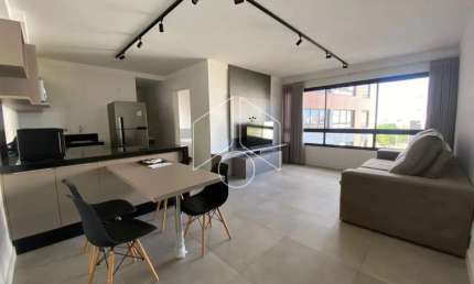 Apartamento com 1 quarto para alugar na Rua das Roseiras, 2123, Fragata, Marília
