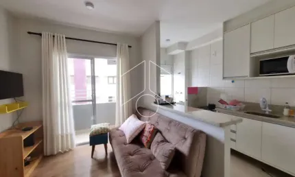 Apartamento com 1 quarto para alugar na Rua Bororós, 1082, Senador Salgado Filho, Marília