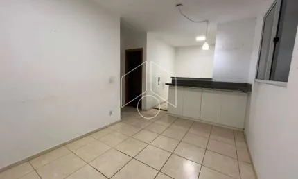 Apartamento com 2 quartos para alugar na Rua Benedito Alves Delfino, Bloco 11, 20855, Distrito Industrial, Marília