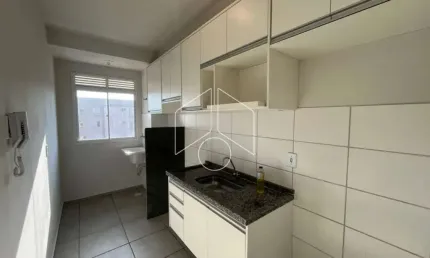 Apartamento com 2 quartos para alugar na Rua Arcidio Stroppa, 08, 777, Distrito Industrial, Marília