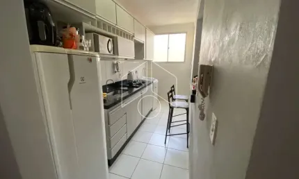 Apartamento com 2 quartos para alugar na Rua Do Algodão, Bloco 8, 2107, Higienópolis, Marília