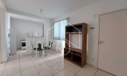 Apartamento com 2 quartos para alugar na Avenida Doutor Hércules Galletti, Bloco 12, 3118, Jardim Califórnia, Marília