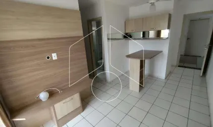 Apartamento com 2 quartos para alugar na Avenida Martim Afonso, Bloco 12, 864, Jardim Monte Castelo, Marília