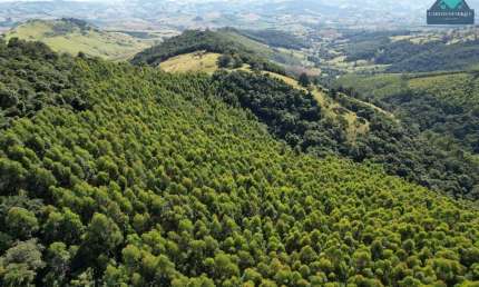 Terreno à venda, 96000 m² por R$ 400.000,00 - Centro - Pedra Bela/SP