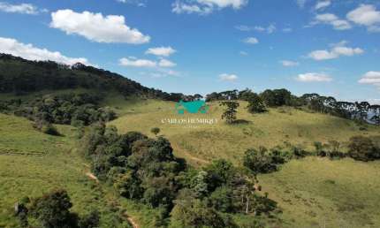 Terreno comercial à venda na Pedra Bela - Sp, 04, Centro, Pedra Bela