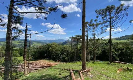 Chácara / sítio com 1 quarto à venda na Extrema - Mg, 05, Centro, Extrema