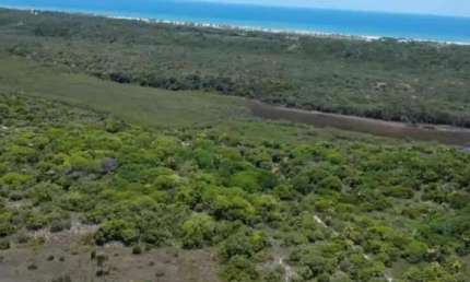 Chácara / sítio à venda na Fazenda MANGABEIRA, SN, Centro, Jandaíra, 2 m2 por R$ 2.500.000