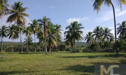 Chácara / sítio à venda na Rodovia Rodovia Conde/Esplanada, sn, Zona Rural, Conde, 200 m2 por R$ 1.710.000
