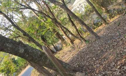 Terreno à venda, Vila Nova São Roque, São Roque, SP comercial ou residencial