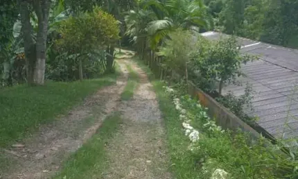 MARAVILHOSO Sítio à venda, Centro (São João Novo), São Roque, SP