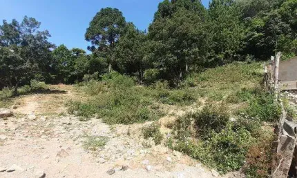 Terreno comercial para alugar na Cidade Nova, Caxias do Sul 