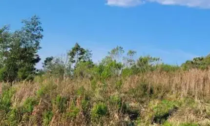 Terreno à venda no São Ciro, Caxias do Sul 